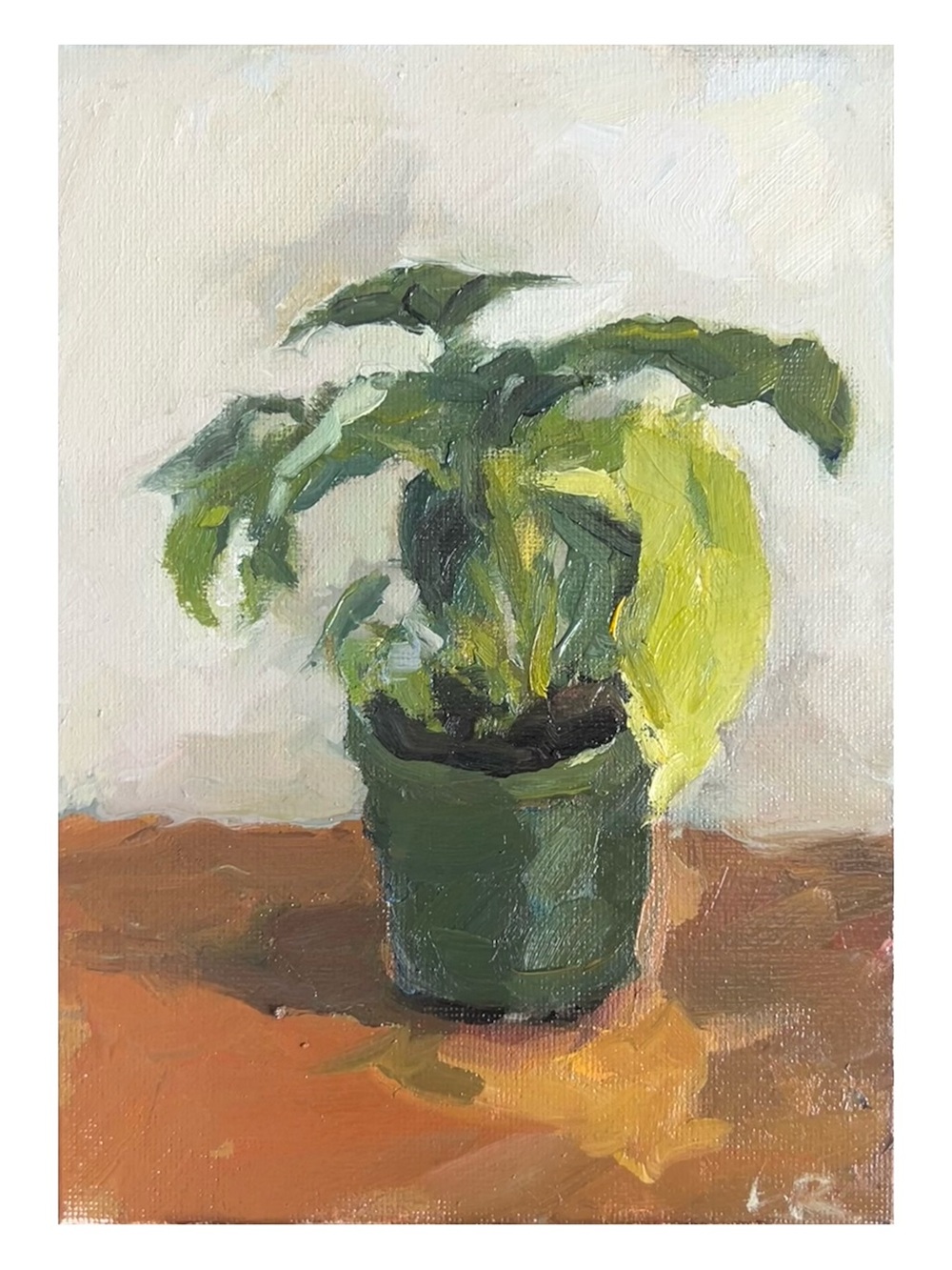 Green Potted Plant Still Life Painting - Unbranded